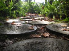 There were a few of these paths in the tropical gardens... I loved them!