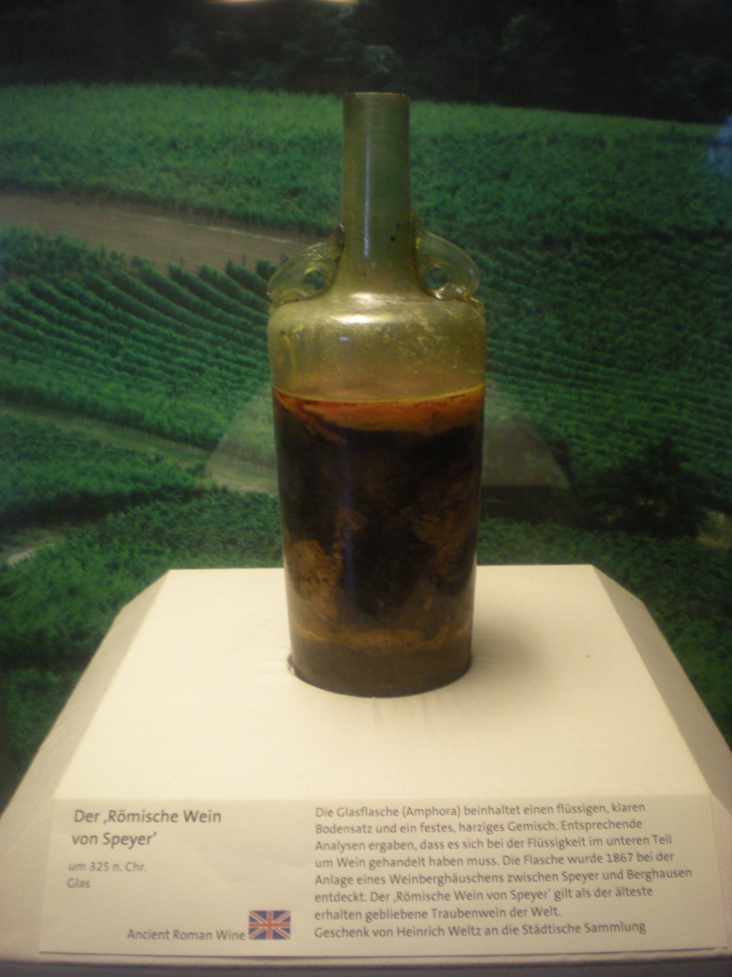 Первый алкогольный напиток. Вино из Шпайера. Speyer самое старое вино. Römerwein von Speyer вино. Самая древняя бутылка вина в мире.