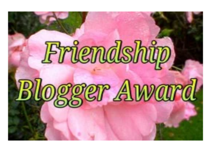 friendship award